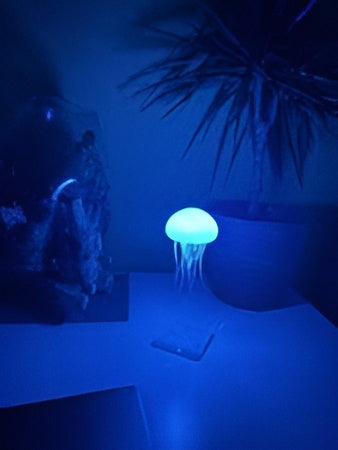 LED Jelly Fish Lamp